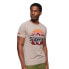Фото #1 товара SUPERDRY Great Outdoors Graphic short sleeve T-shirt