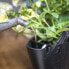 Фото #5 товара Wand-Blumentopf mit Bewässerungssystem