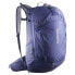Фото #1 товара SALOMON Trailblazer 30L backpack