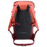 VAUDE TENTS CityGo 30L backpack