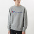 Champion C3-L023 Ash Grey Hoodie