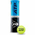 Фото #2 товара Теннисные мячи Dunlop ATP Official Жёлтый Разноцветный