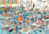 Jumbo Jan van Haasteren - Cat Show (1000 pieces) (JUM00032) /Puzzles