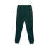 Фото #2 товара Puma Nyc Remix T7 Pants Mens Green Casual Athletic Bottoms 62449943