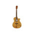 Фото #1 товара Baton Rouge TLM/ACEC Flamed Maple B-Stock