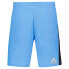 LE COQ SPORTIF 2320853 Training Sp N°1 sweat shorts