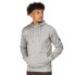 Фото #2 товара REGATTA Ortolan hoodie fleece