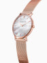 Фото #1 товара Paul Valentine Damen Armbanduhr ROSE GOLD SEASHELL MESH 36 MM PV36511