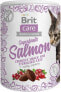 Фото #1 товара Brit Care Cat Snack Superfruits Salmon 100g