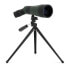 CELESTRON Spotting Scope LandScout 12-36x60 45º Telescope