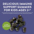 Фото #3 товара Nature's Way, Sambucus, стандартизированный экстракт бузины для детей, 60 жевательных конфет