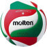 Фото #1 товара Волейбольный мяч Molten V5M2200