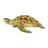 Фото #1 товара SAFARI LTD Loggerhead Turtle Figure