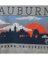 Men's Gray Auburn Tigers Comfort Colors Campus Scenery T-shirt