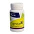 STANGEST Coprovet 50g dog and cat supplement - фото #1