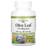 Фото #1 товара Травяной препарат Natural Factors Olive Leaf, 500 мг, 60 капсул