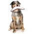 Фото #5 товара Забавная игрушка для собак FUZZYARD ACTIVE Flyer Teether