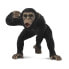 Фото #1 товара COLLECTA Male Chimpance Figure