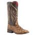 Фото #4 товара Ferrini Bronco Pirarucu Embroidery Square Toe Cowboy Womens Brown Dress Boots 9