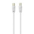 Belkin RCA M/F 5m - 5 m - RCA - RCA - White