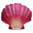 GABY The Scallop Medium Pink / Red / White - фото #1