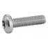 EUROMARINE ISO 14483 A4 M6x30 mm Cylindrical Head Torx Screw 25 Units