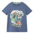 NAME IT Fholiday short sleeve T-shirt Wild Wind, 11-12 лет - фото #1