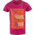 Фото #1 товара ALPINE PRO Molko short sleeve T-shirt