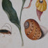 Картина DKD Home Decor Ель Стеклянный 50 x 65 x 2,5 cm 50 x 2,5 x 65 cm 50 x 2,5 x 70 cm Цветы (4 Предметы)