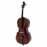 Фото #1 товара Roth & Junius Europe 4/4 AS Student Cello