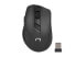 natec Stingray - Full-size (100%) - RF Wireless - Membrane - QWERTY - Black - Mouse included