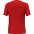 Фото #4 товара SALEWA Pedroc Ptc Delta short sleeve T-shirt