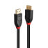 Lindy 10m Active DisplayPort 1.4 Cable - 10 m - DisplayPort - DisplayPort - Male - Male - 7680 x 4320 pixels