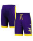 ფოტო #1 პროდუქტის Men's Purple/Gold Minnesota Vikings Fan Favorite Fashion Shorts