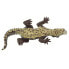 Фото #6 товара SAFARI LTD Caiman Figure