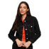 SUPERDRY Studios Desert jacket