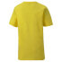 PUMA Teamgoal 23 Casuals short sleeve T-shirt