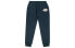 Trendy Clothing Dickies Logo DK007020B29 Model