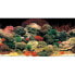 ფოტო #2 პროდუქტის FERPLAST 120x50 cm Aquarium Background