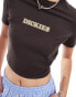 Фото #2 товара Dickies – Choteau – Enges T-Shirt in Dunkelbraun mit mittigem Logo