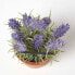 Фото #4 товара Künstliche Lavendel-Topfpflanze