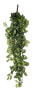 Фото #1 товара Künstliche Hängepflanze Fittonia