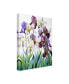 Christopher Ryland White and Purple Irises Canvas Art - 15" x 20"