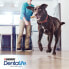 Фото #7 товара PURINA Dentalife Canine Large 6x142g Teeth Dog Snack