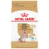 Фото #1 товара ROYAL CANIN Yorkshire Terrier 8+ 3kg Dog Food