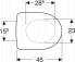 Deska sedesowa 502.897.00.1 / GEBERIT / SELNOVA / DESKA SEDESOWA, MOCOWANIE OD GÓRY, WOLNE OPADANIE, ANTYBAKTERYJNA /