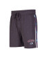 Фото #1 товара Men's Charcoal Colorado Avalanche Team Stripe Shorts