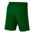 Фото #3 товара Nike Laser Woven IV Short M AJ1245-302 football shorts