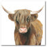 Фото #1 товара Highland Cattle II Gallery-Wrapped Canvas Wall Art - 20" x 20"