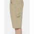 DICKIES Duck Canvas shorts
